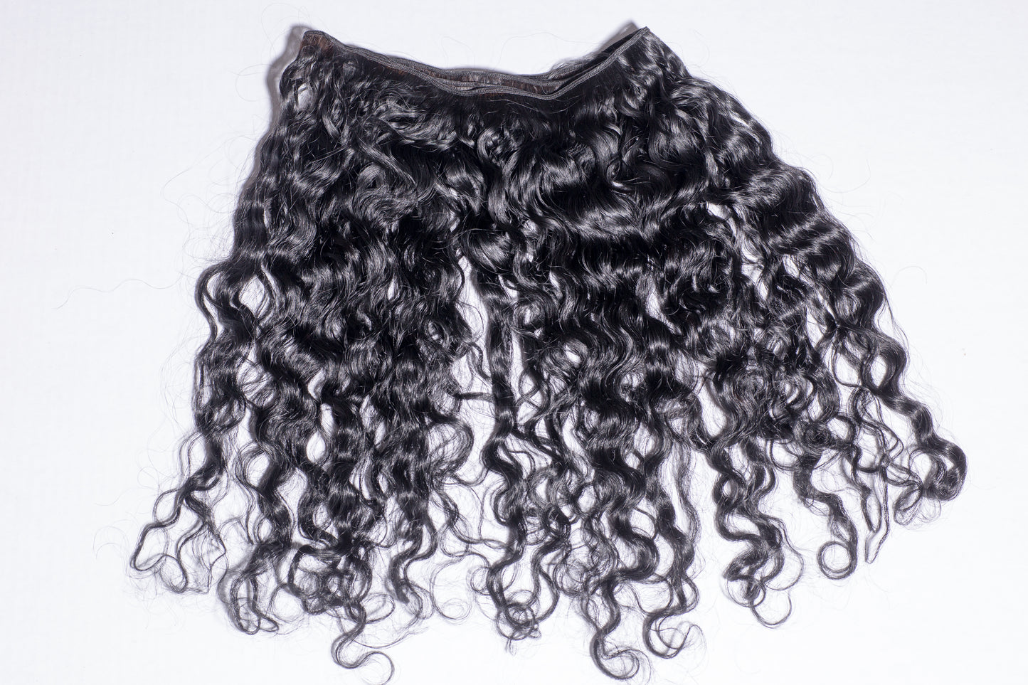 Hydra Curly
